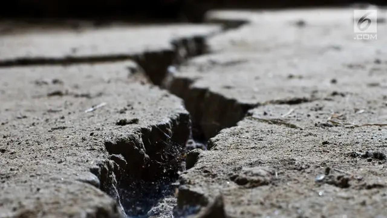 98 Gempa Guncang Jawa Barat Selama Februari 2025, Pemicunya Aktivitas Sesar Bawah Laut