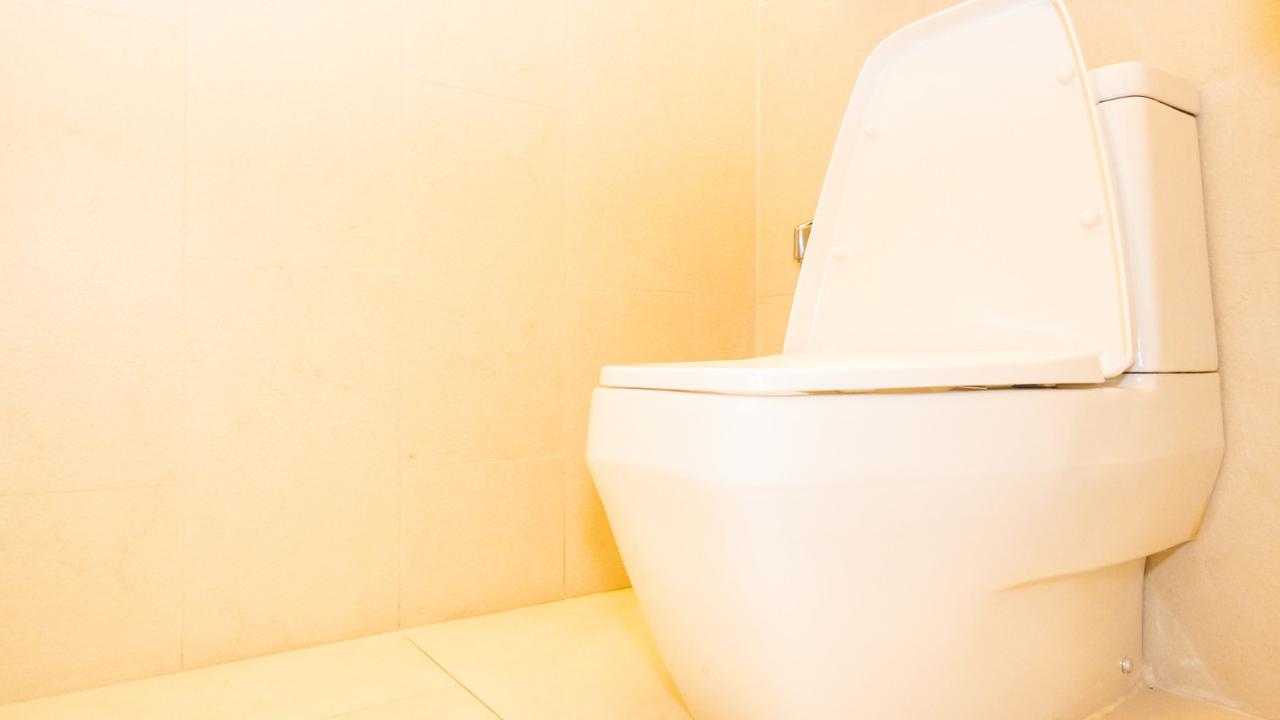 Toilet Emas 18 Karat Senilai Rp106 M Dicuri, ini Sosok Pelaku Dijatuhi Hukuman Penjara