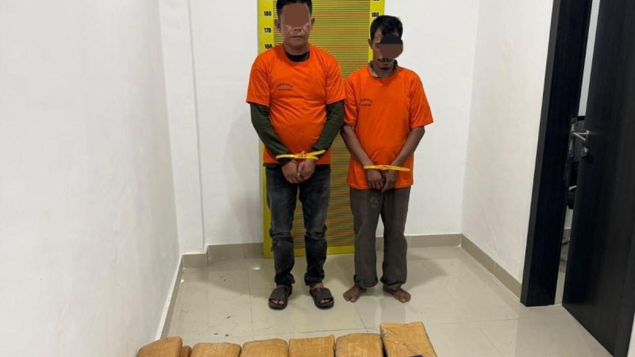 Polda Sumut Ungkap 169,6 Kg Ganja di Deli Serdang, Tiga Pelaku Ditangkap
