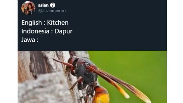 5 Cocoklogi Terjemahan Bahasa Jawa ala Netizen Ini Bikin Geregetan