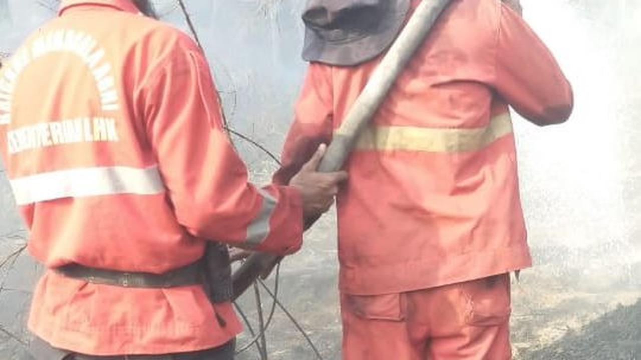 Karhutla terparah terjadi di beberapa kecamatan Kabupaten OKI, seperti Cengal dan Pangkalan Lampam. Daerah ini menjadi langganan karhutla setiap musim kemarau tiba.