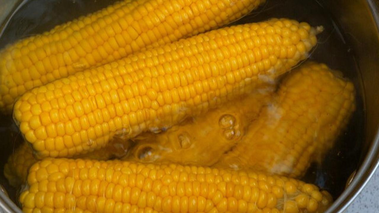 Cara Praktis untuk Mengolah Jagung Rebus agar Manis dan Empuk