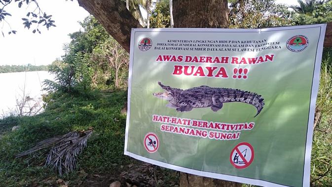 Peringatan yang dipasang BKSDA Sulawesi Tenggara di Sungai lalindu, Konawe Utara agar waspada terhadap buaya.(Liputan6.com/Ahmad Akbar Fua)