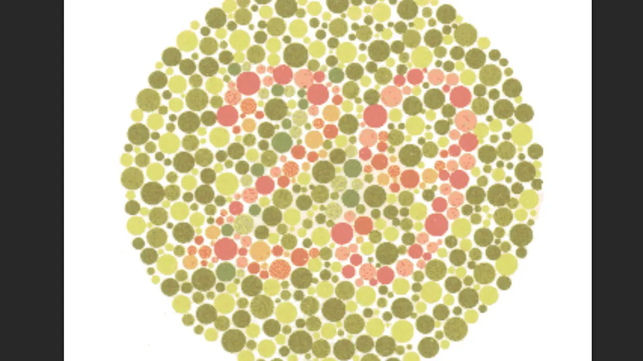 Tes buta warna Ishihara (Tangkapan layar challengetb.org)
