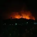 Kebakaran Hutan di Ponorogo Meluas, Wilayah Slahung Terparah