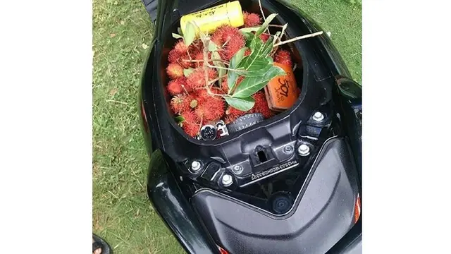 6 Potret Jok Motor Isi Makanan dan Minuman Ini Nyeleneh Banget