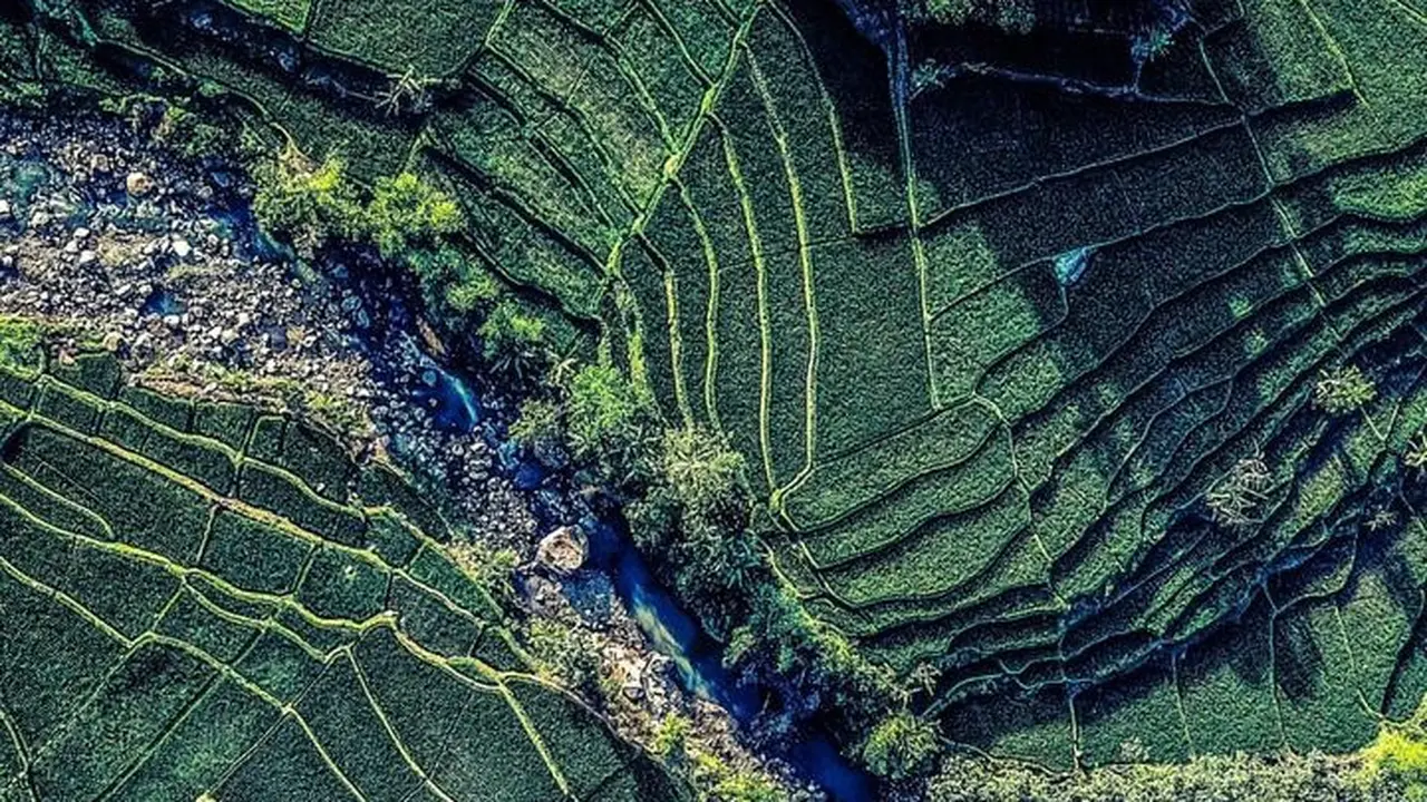5 Pilar Modernisasi Irigasi di Indonesia