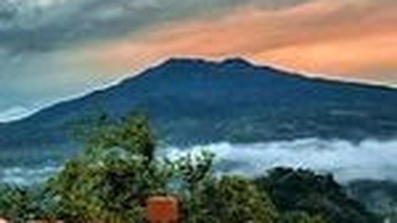 10. Puncak Marajo<br>