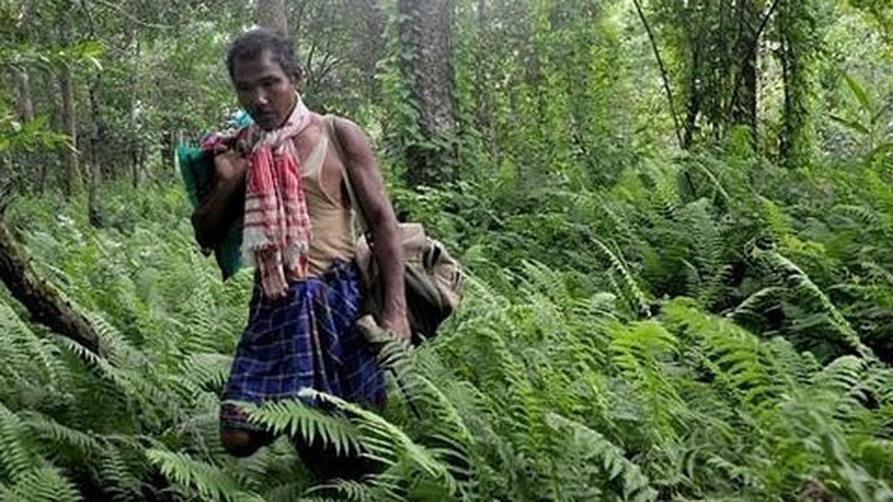 Seorang diri, pria India ini hijaukan kembali 550 hektare hutan