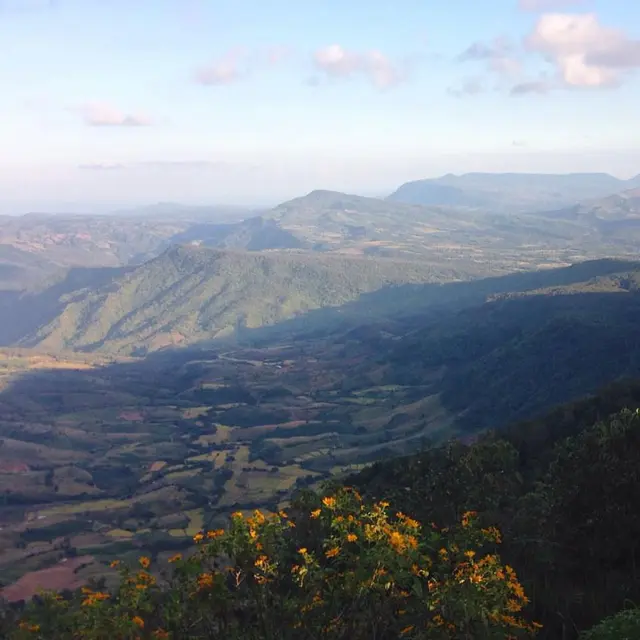 Pemandangan Gunung Phu Ruea di Thailand