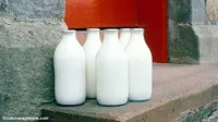 Susu Produk Dumex Diduga Berbakteri Beredar di Riau, Awas!