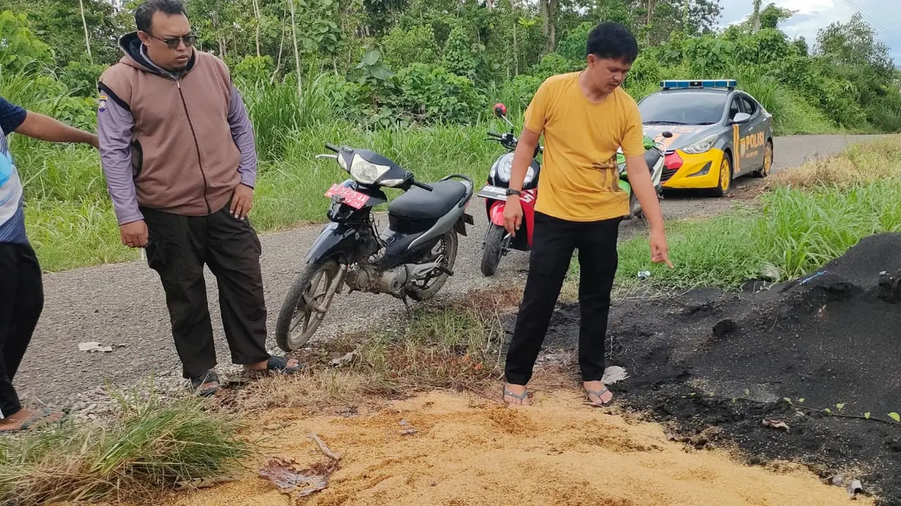 Diduga Sengaja Dibuang, Bayi Baru Lahir Selamat Setelah Tangisnya Didengar Petani di Bone