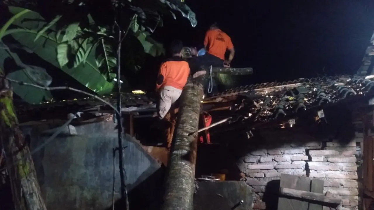 Rumah warga di Desa Telemung Banyuwangi tertimpa pohon besar akibat  angin puting beliung. (Istimewa)