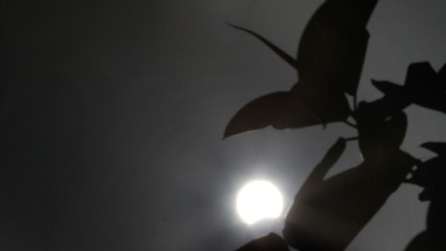 Gerhana Matahari di Berbagai Negara