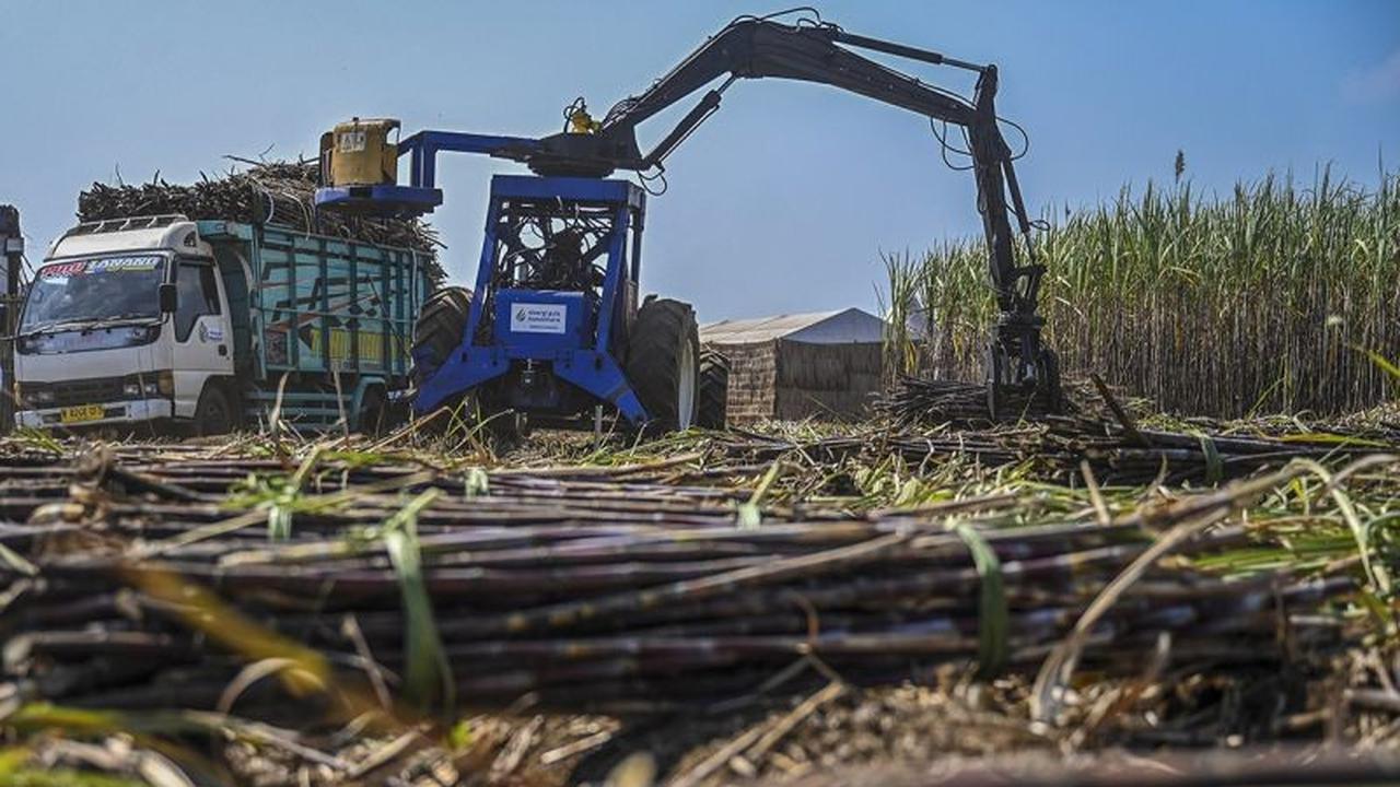 Proyek E10: Strategi Indonesia Kurangi Impor BBM dengan Bioetanol