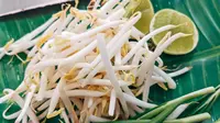 Benarkah Tauge Bisa Menurunkan Kadar Asam Urat?