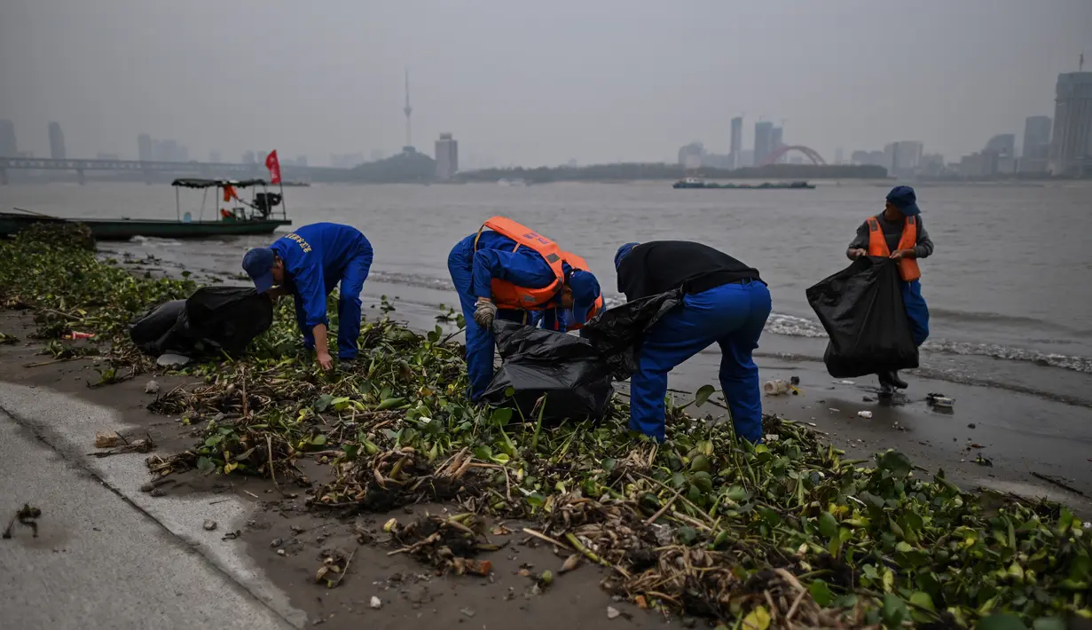 Sejumlah pekerja membersihkan sampah tepian Sungai Yangtze di Wuhan (20/11/2020). Beberapa warga sudah tidak menggunakan masker saat melakukan aktivitas di luar ruangan. (AFP/Hector Retamal)