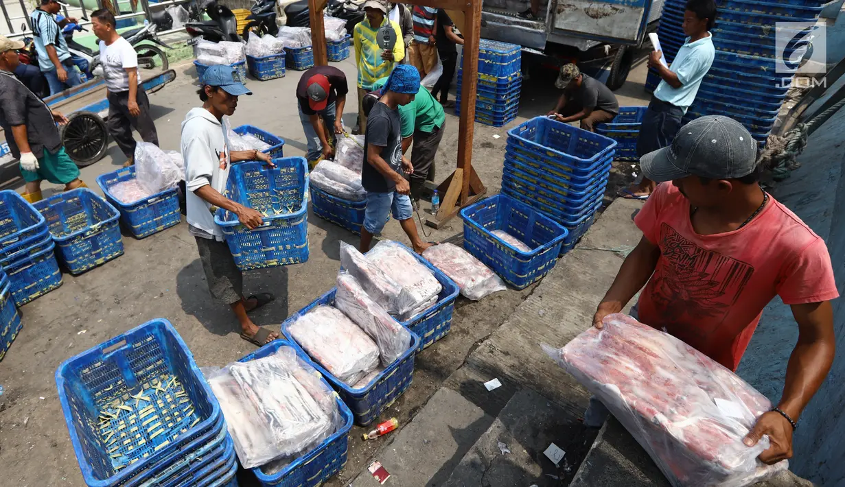 Nelayan memindahkan ikan laut hasil tangkapan di Pelabuhan Muara Angke, Jakarta, Kamis (26/10). Menurut Kementerian Kelautan dan Perikanan (KKP), ekspor perikanan naik 7,21 persen dibanding periode yang sama tahun 2017. (Liputan6.com/Angga Yuniar)