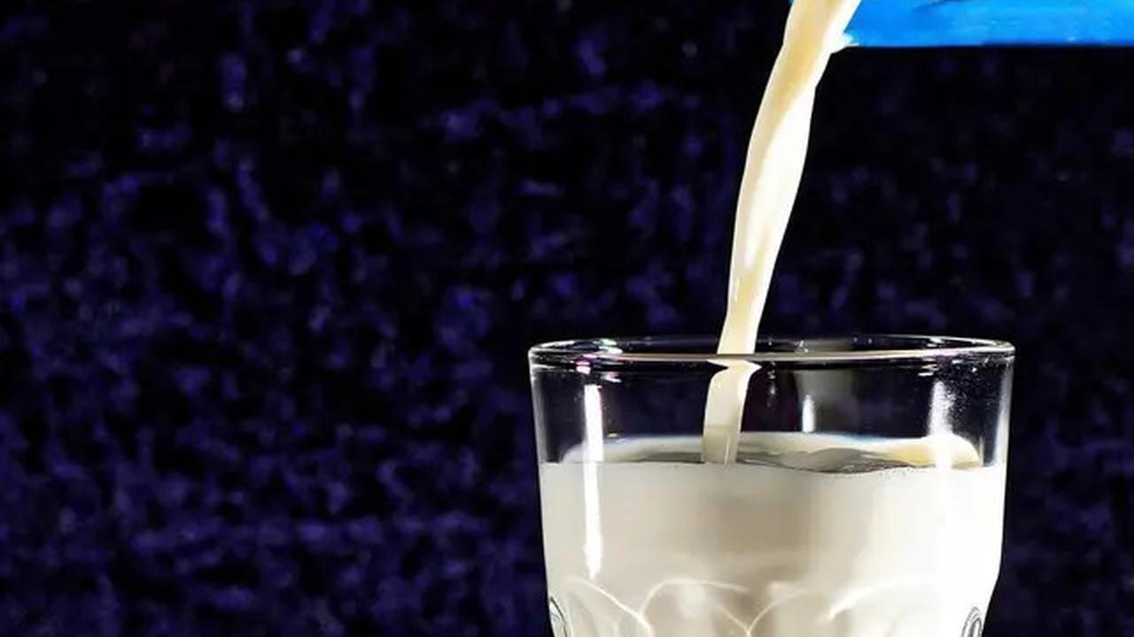 Apakah Benar Bahan Utama Susu Nabati Meningkatkan Risiko Kanker Usus Besar?
