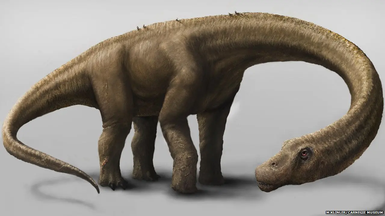 Dreadnoughtus   schrani. 