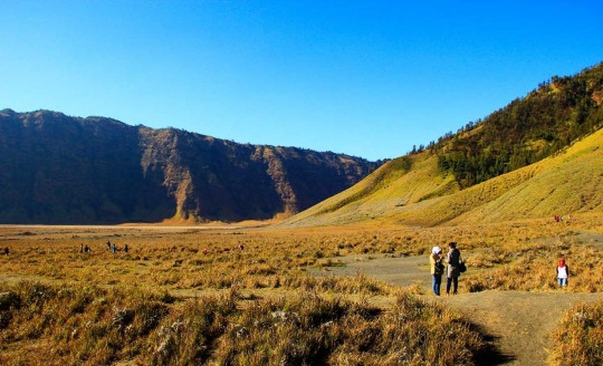 Memanjakan mata menikmati keindahan bukit 'Teletubbies' di Bromo