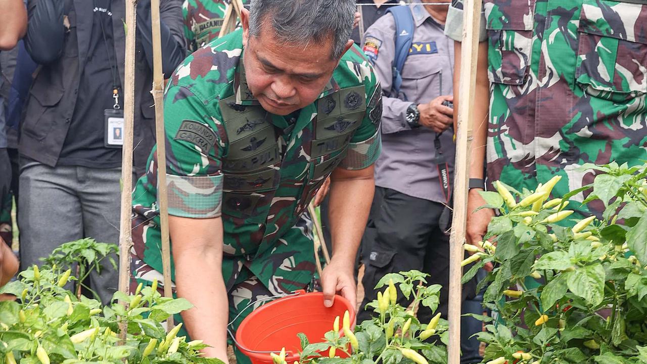 FOTO: Kasad Jenderal Maruli Panen Raya di Gunung Hejo, Dorong Ketahanan Pangan Lewat Agroforestry