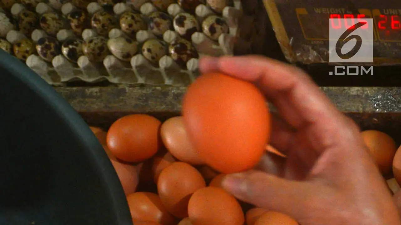 Harga Telur Ayam.