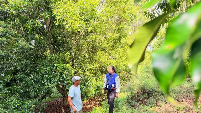 Kartini Masa Kini di Sulawesi Tenggara, Kisah Mantri BRI Menembus Pegunungan Demi Gerakkan Ekonomi Desa