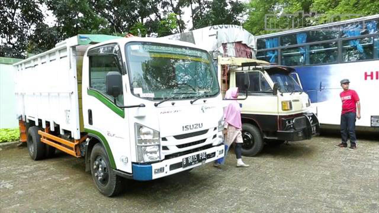 Tradisi Wisata Naik Pikap, Asyiknya Rame-Rame