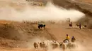 Pengungsi Irak berduyun-duyun selamatkan hewan ternak dari Mosul, Irak, Selasa (1/11). Mereka berduyun-duyun dengan membawa ratusan hewan ternaknya untuk diselamatkan ke tempat yang lebih aman. (REUTERS/Ahmed Jadallah)