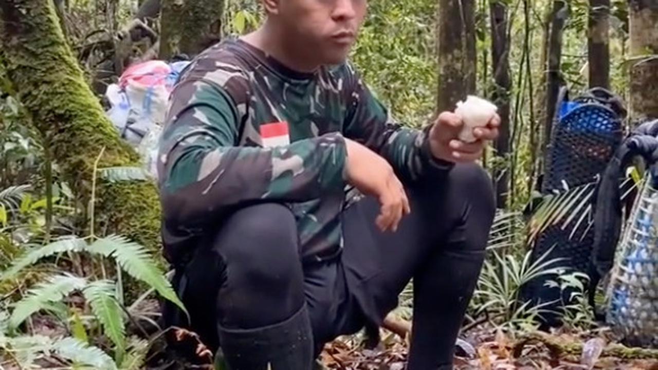tni makan di hutan