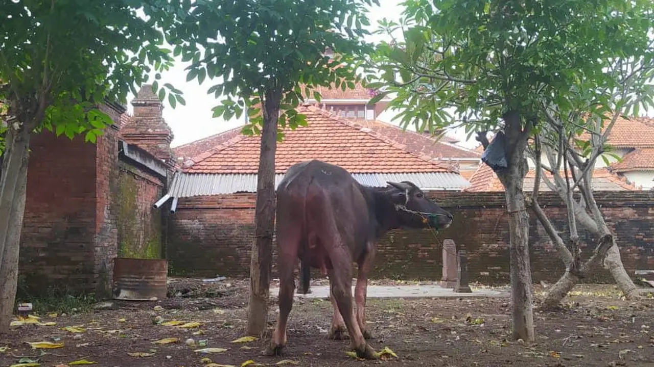 Idul Adha di Kudus