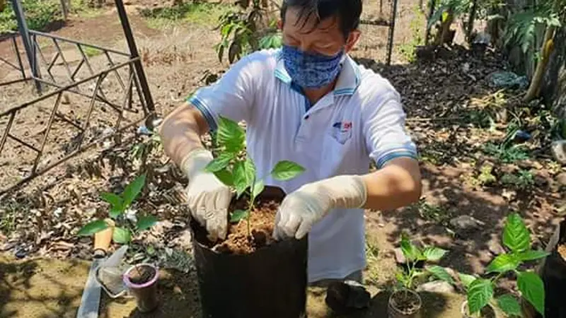 Lumentut menanam sejumlah tanaman di pekarangan rumahnya.