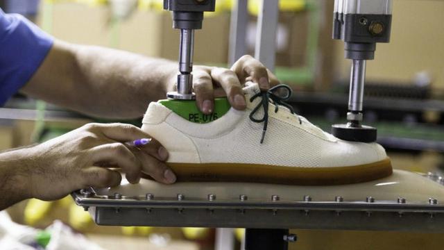 Sneakers Plant Shoe