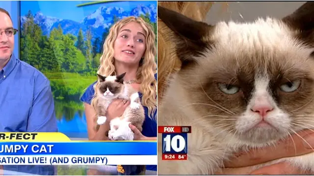 Foto Copyright fox.com/abcnews.com