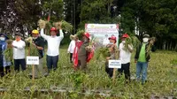 Menteri Pertanian (Mentan) Republik Indonesia, Syahrul Yasin Limpo, saat menghadiri panen bawang putih di Desa Parulohan, Kecamatan Lintongnihuta, Humbahas