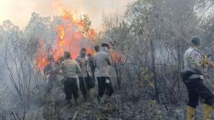 Api Mengganas, Lahan Taman Nasional Way Kambas Terbakar Capai 673,4 Hektare
