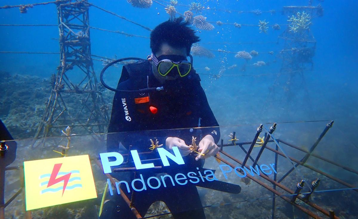 Menengok Program Adopsi Karang