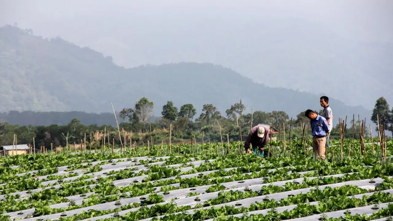 Hasil Riset Pertanian Berkelanjutan Indogreen Jadi Acuan Kebijakan di Pagar Alam