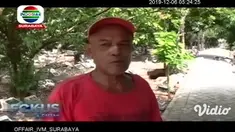 Khawatir menyerang warga, sarang lebah vespa affinis, atau tawon ndas yang berada di tempat pemakaman umum di kawasan Jalan Karangrejo, Wonokromo, Surabaya, Rabu siang dibakar oleh petugas Pemadam Kebakaran.