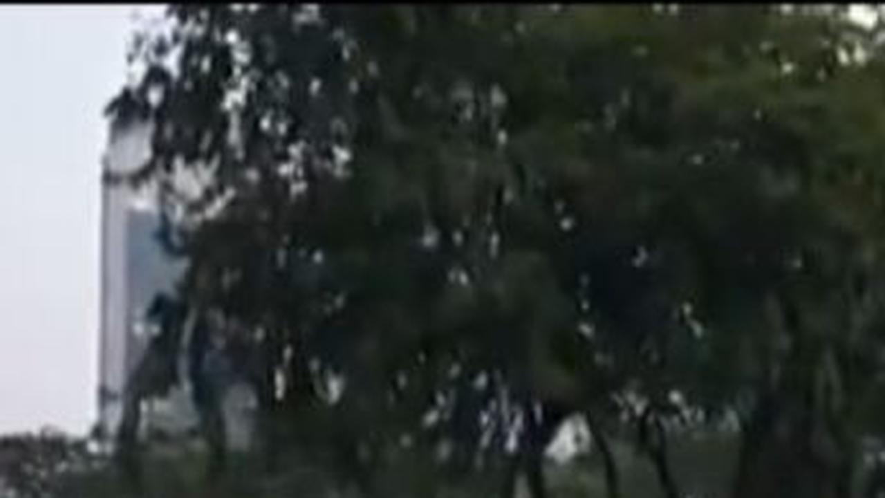 Meski terjadi insiden tersebut, anggota polisi di mobil Patwal itu tak dikenakan sanksi. Sebab kejadian itu hanya kesalahan di lapangan yang tidak berakibat fatal atau kecelakaan.