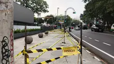 Ini Aturan Tebang Pohon di Bandung, Sembarangan Bisa Didenda