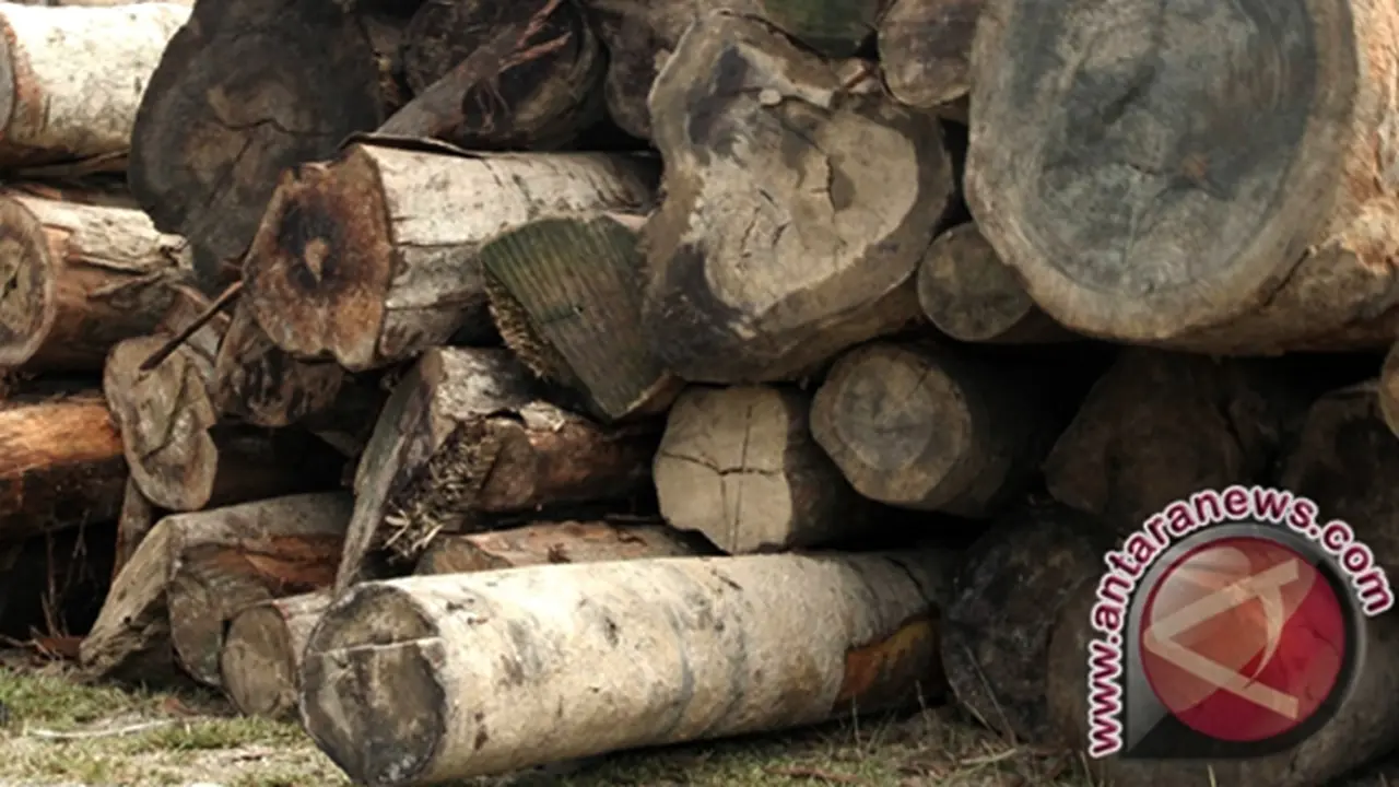 Kayu