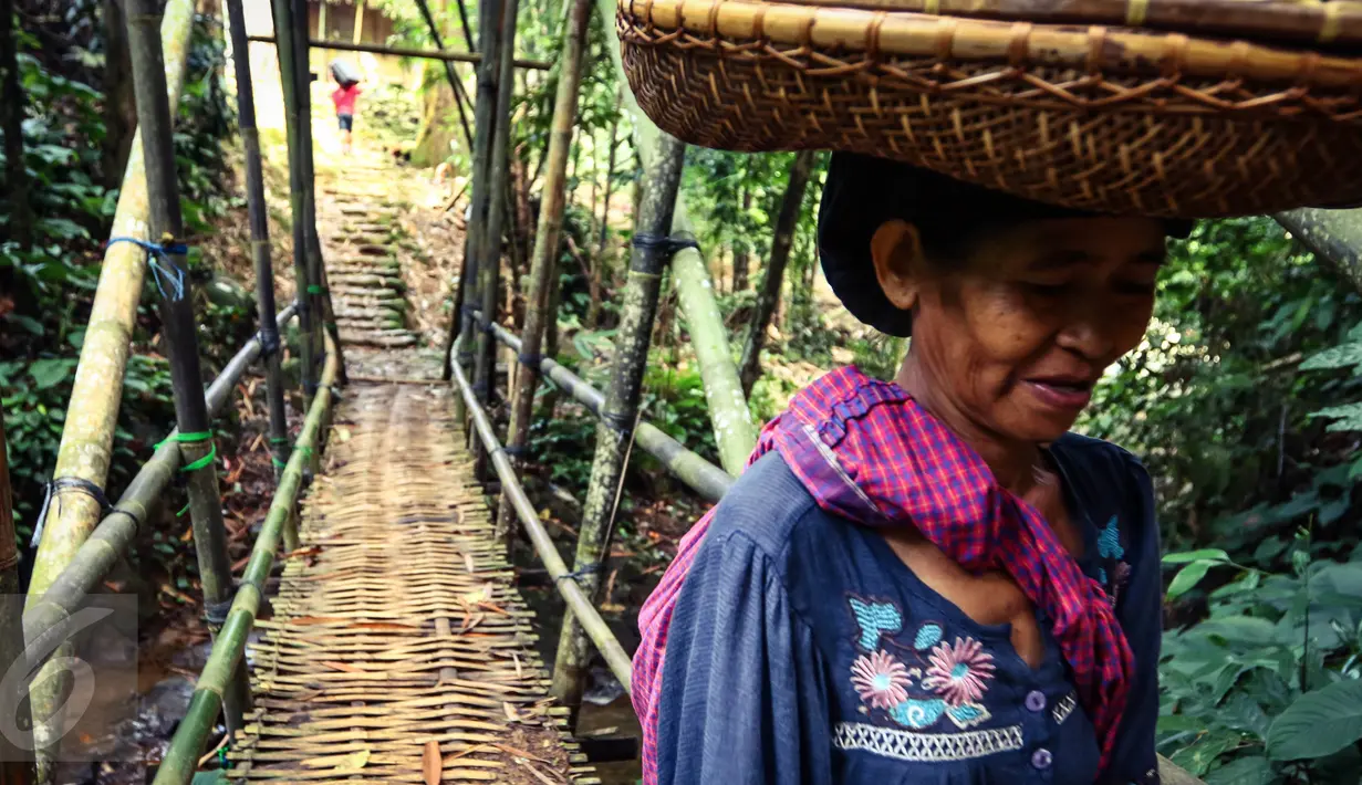 Seorang nenek Baduy Luar dengan membawa sair di kepala melintasi jembatan bambu menuju Kampung Marengo, Kabupaten Lebak, Banten, Jumat (13/05). (Liputan6.com/Fery Pradolo)