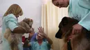 Pasien bernama Euripedes Carreira, (67) yang sedang dirawat karena kanker, tengah berinteraksi dengan anjing shitzu bernama Mille dan Pacato di Rumah Sakit Dukungan, Brazil. (17/11/2016).(AP Photo / Eraldo Peres)