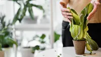 Tanpa lahan luas pun, berkebun tetap bisa! Simak tips sederhana agar sayuran tumbuh subur di pot. (Foto dok: Freepik/jcomp).
