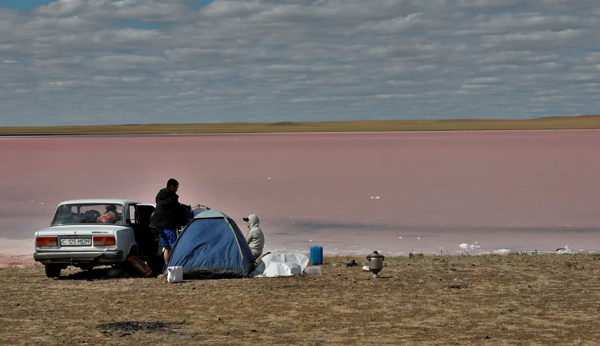 Wisatawan beristirahat di dekat Danau Kobeituz di Kawasan Akmola, Kazakhstan utara (20/6/2020). Danau Kobeituz terkenal dengan warna merah mudanya dan populer di kalangan wisatawan lokal. (Xinhua/Kalizhan Ospanov)