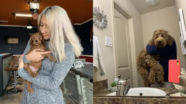 Pertumbuhan Anjing 'Dulu vs Sekarang'.