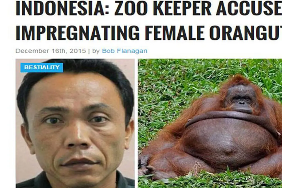 Waduh, Penjaga Kebun Binatang di Surabaya Hamili Orangutan?