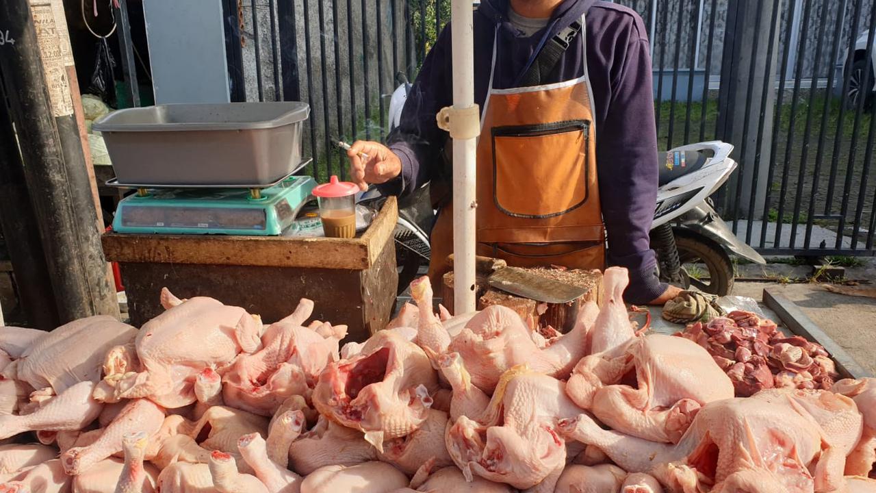 Harga Daging Ayam Mahal, Menko Zulhas: Sekarang Rp37.000, Masih di Bawah Harga Eceran Tertinggi